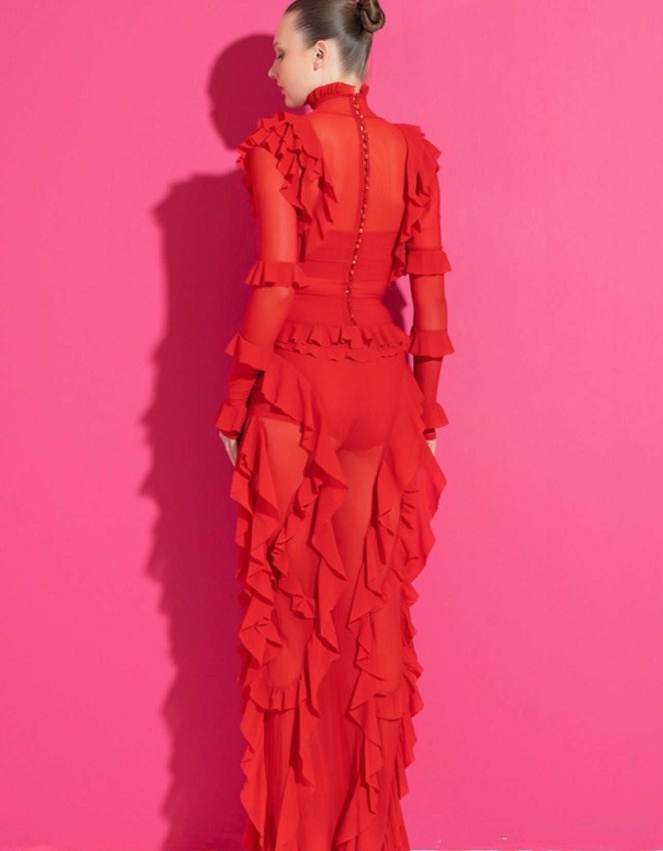 Sheer ruffle dress