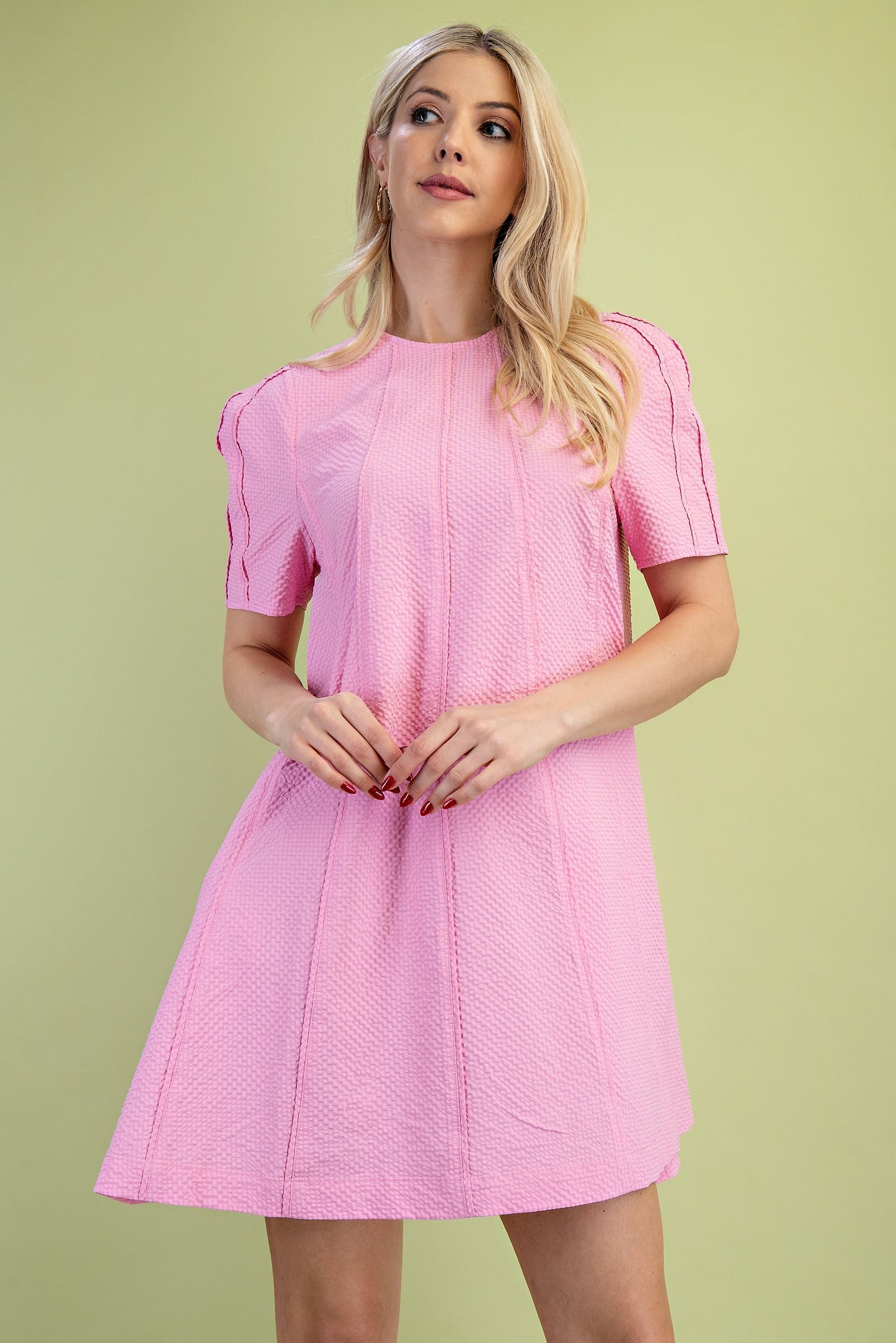 Artisantextured Balloon Sleeve Mini Dress