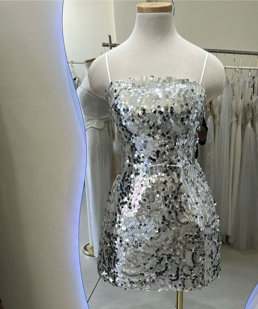 Ani silver dress