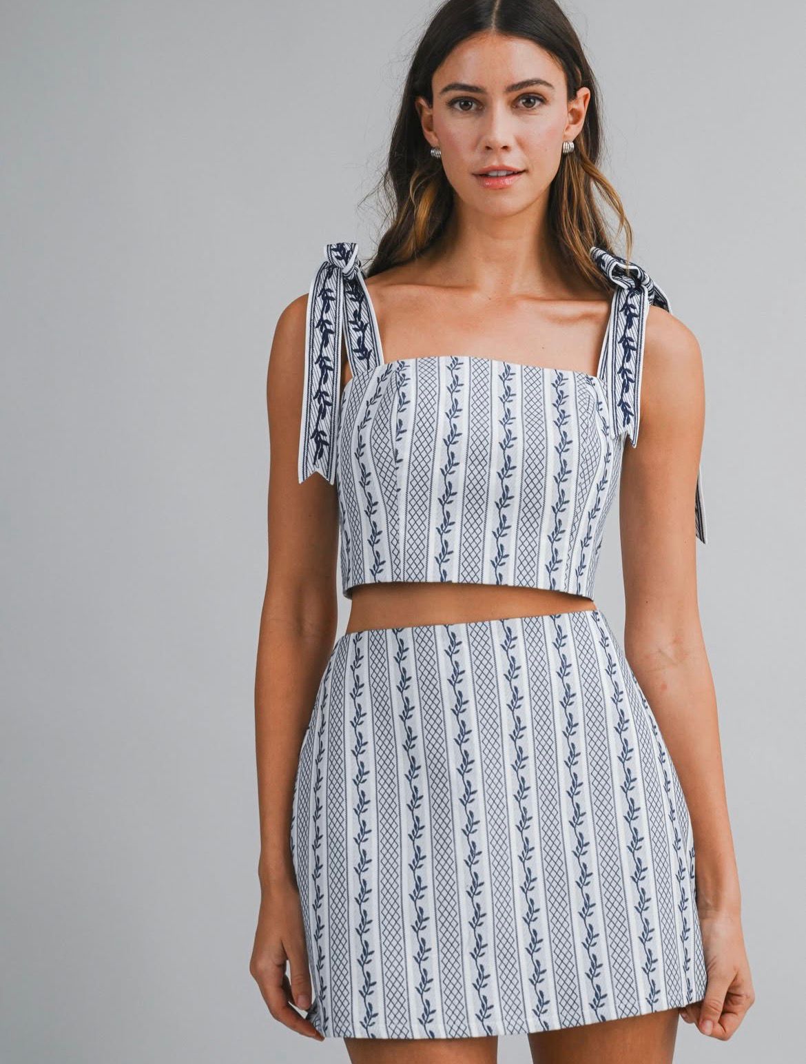 Blue Floral Striped Crop Top & Skirt Set